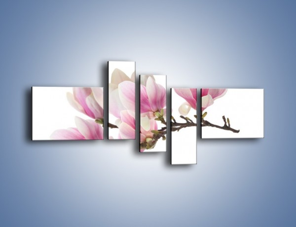Obraz na płótnie – Rzut na gałąź magnolii – pięcioczęściowy K782W5