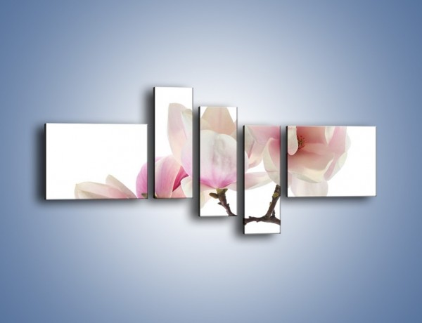 Obraz na płótnie – Obcięte gałązki białych różowych kwiatów – pięcioczęściowy K783W5