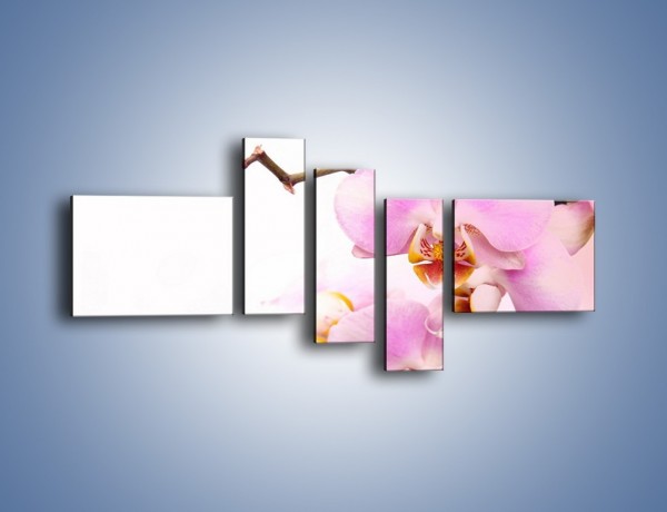 Obraz na płótnie – Delikatny motyw z kwiatami – pięcioczęściowy K815W5