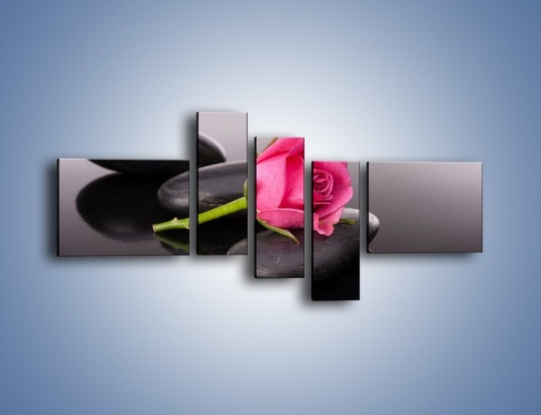 Obraz na płótnie – Ścięta róża na czarnej tafli – pięcioczęściowy K832W5