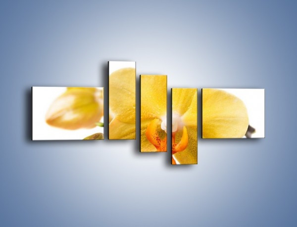 Obraz na płótnie – Kwiat jak soczysta pomarańcza – pięcioczęściowy K851W5