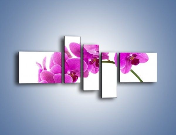Obraz na płótnie – Kwiaty w lewą stronę – pięcioczęściowy K853W5