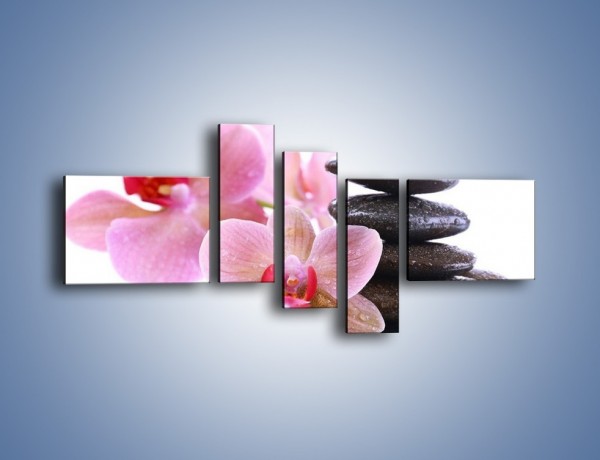 Obraz na płótnie – Deszcz kwiaty i kamienie – pięcioczęściowy K861W5