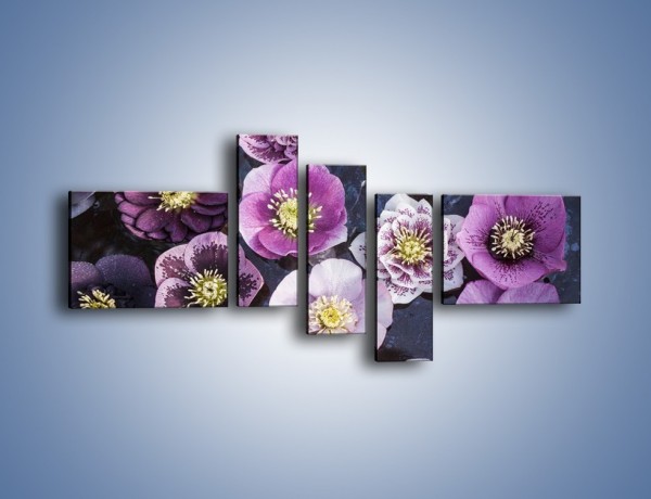 Obraz na płótnie – Wszystkie odcienie fioletu w kwiatach – pięcioczęściowy K876W5