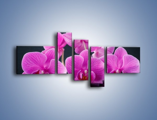 Obraz na płótnie – Różne kwiatowe warianty – pięcioczęściowy K877W5