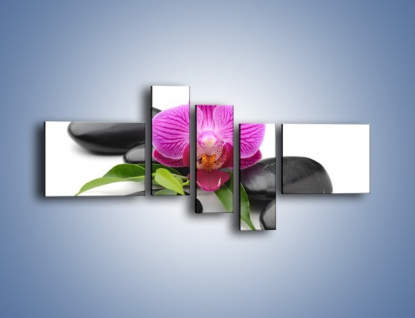 Obraz na płótnie – Kwiat i jego liście – pięcioczęściowy K941W5