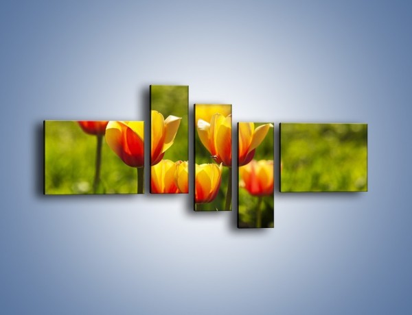 Obraz na płótnie – Pomarańczowe kwiaty i zieleń – pięcioczęściowy K952W5
