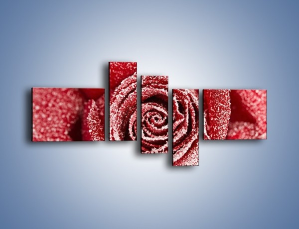 Obraz na płótnie – Szron na różanych płatkach – pięcioczęściowy K958W5