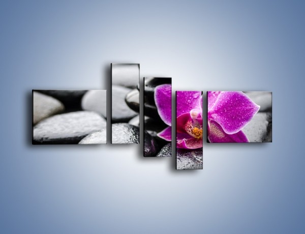 Obraz na płótnie – Malutki kwiatek i morze kamieni – pięcioczęściowy K983W5