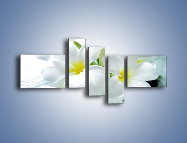 Obraz na płótnie – Białe kwiaty w potoku – pięcioczęściowy K991W5