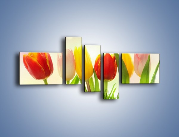 Obraz na płótnie – Sześć małych tulipanków – pięcioczęściowy K996W5