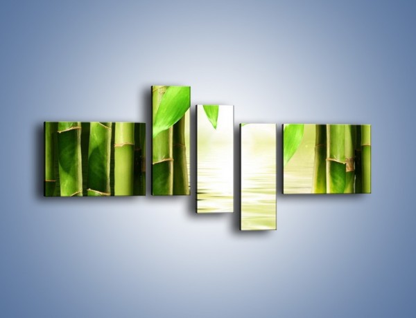 Obraz na płótnie – Bambusowe liście i łodygi – pięcioczęściowy KN027W5