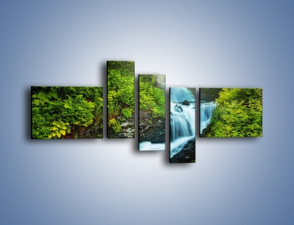 Obraz na płótnie – Spływ wodny i zieleń – pięcioczęściowy KN1069W5