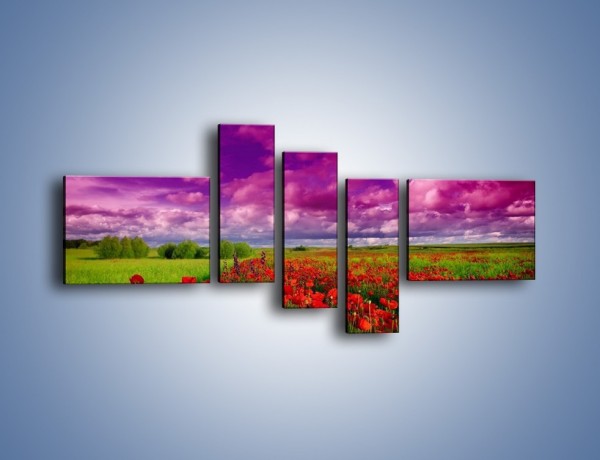 Obraz na płótnie – Maki nad fioletowymi chmurami – pięcioczęściowy KN1079AW5