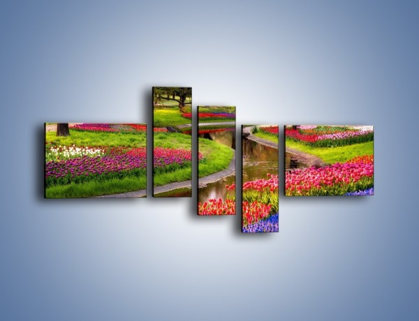 Obraz na płótnie – Aleje kolorowych tulipanów – pięcioczęściowy KN1079W5