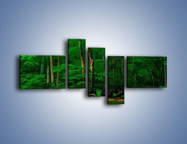 Obraz na płótnie – Mocno zarośnięty las – pięcioczęściowy KN1089AW5