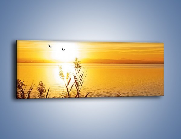Obraz na płótnie – Powrót bocianów do domu – jednoczęściowy panoramiczny KN1362A