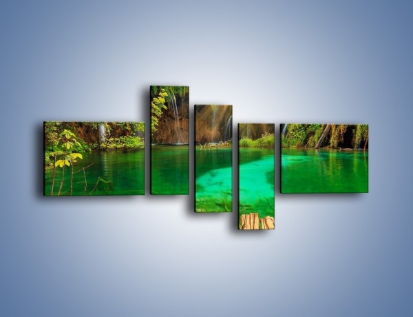 Obraz na płótnie – Zielone oczko wodne i drewno – pięcioczęściowy KN1149AW5
