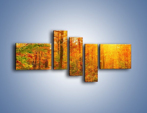 Obraz na płótnie – Leśną drużką jesienią – pięcioczęściowy KN1163AW5