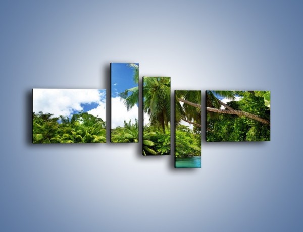 Obraz na płótnie – Rozłożone palmy i woda – pięcioczęściowy KN1168AW5