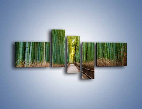 Obraz na płótnie – Bambusowy las – pięcioczęściowy KN1187AW5