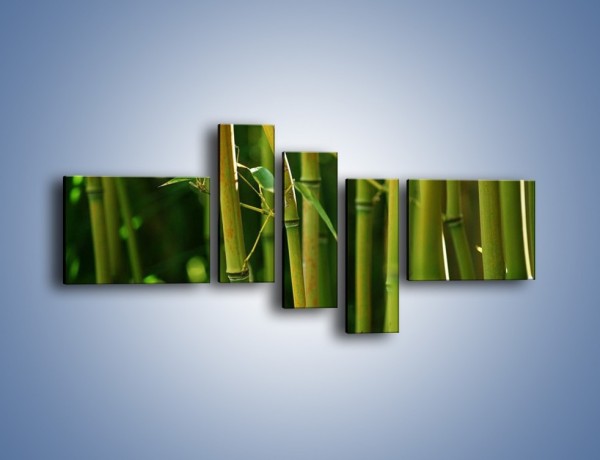 Obraz na płótnie – Bambusowe łodygi z bliska – pięcioczęściowy KN118W5