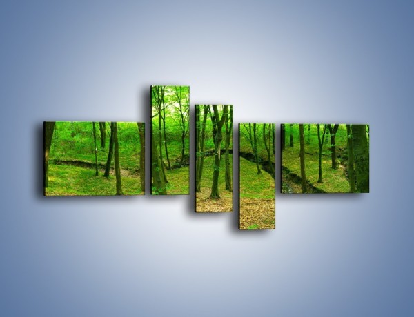Obraz na płótnie – Wąskie spojrzenie na las – pięcioczęściowy KN1264AW5