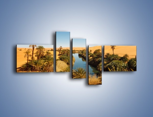 Obraz na płótnie – Woda woda na pustyni – pięcioczęściowy KN1294AW5