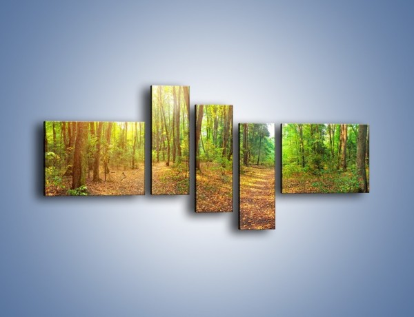 Obraz na płótnie – Przejrzysty piękny las – pięcioczęściowy KN1344AW5