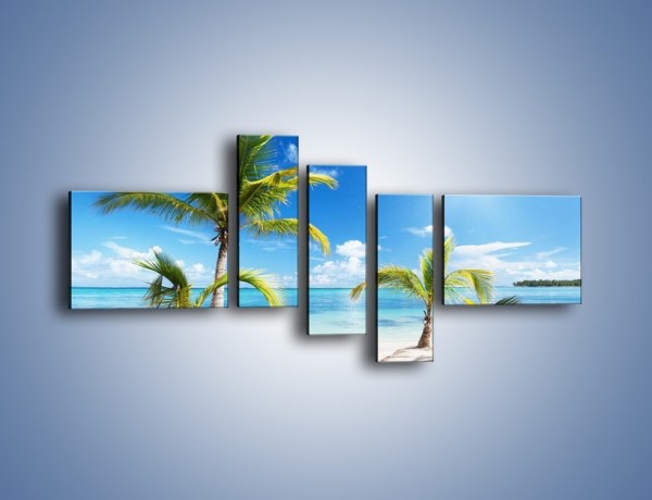Obraz na płótnie – Palmy na pustej plaży – pięcioczęściowy KN245W5