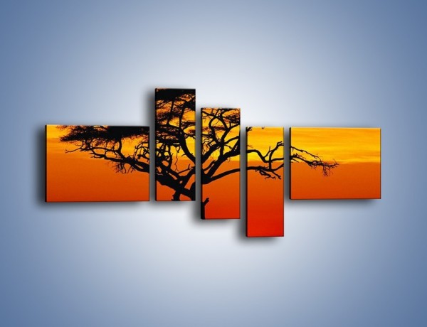 Obraz na płótnie – Zachód słońca i drzewo – pięcioczęściowy KN307W5