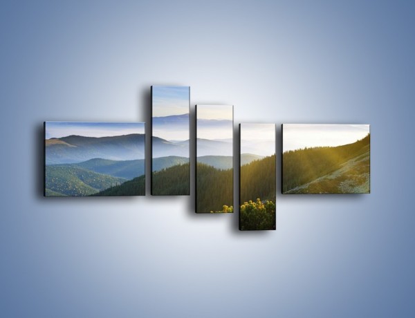 Obraz na płótnie – Widok na górskie doliny – pięcioczęściowy KN719W5