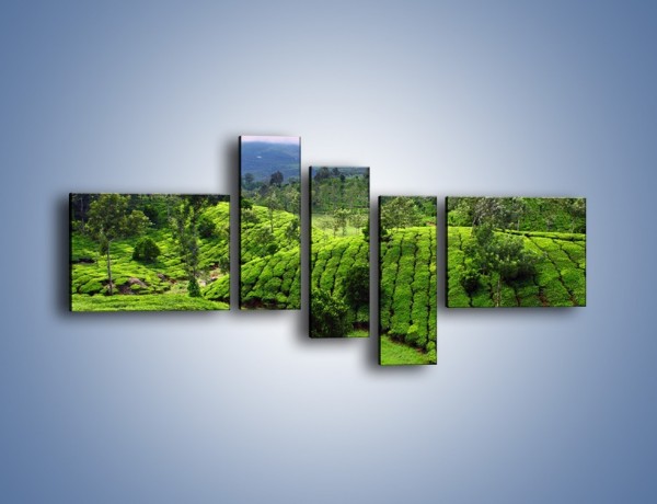 Obraz na płótnie – Rozległa zielona kraina – pięcioczęściowy KN872W5