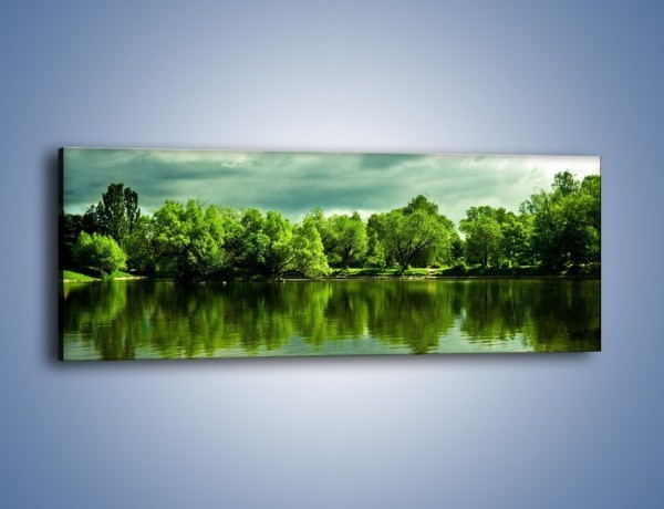 Obraz na płótnie – Drzewa w wodnym odbiciu – jednoczęściowy panoramiczny KN168
