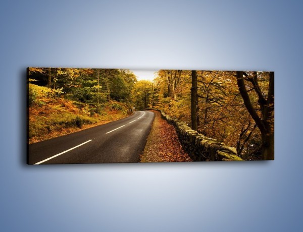 Obraz na płótnie – Asfaltową droga przez las – jednoczęściowy panoramiczny KN169