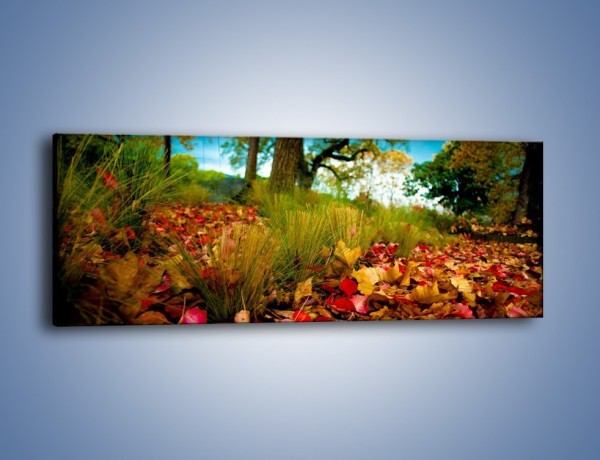 Obraz na płótnie – Droga usłana liśćmi – jednoczęściowy panoramiczny KN172