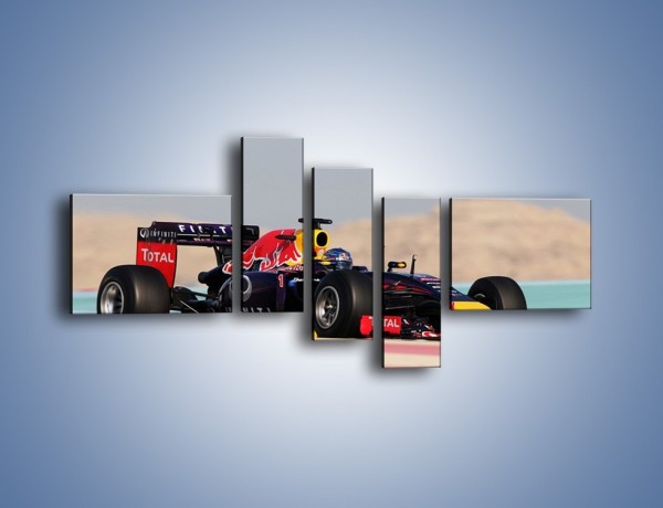 Obraz na płótnie – F1 Infiniti Red Bull – pięcioczęściowy TM241W5
