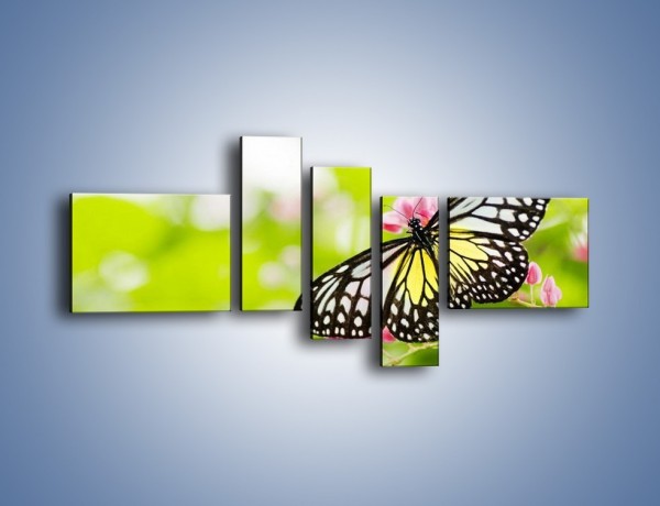 Obraz na płótnie – Motyl w letni poranek – pięcioczęściowy Z004W5