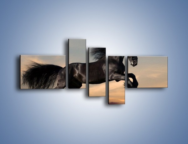 Obraz na płótnie – Czarny koń w galopie – pięcioczęściowy Z008W5