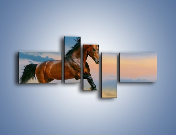 Obraz na płótnie – Brązowy koń na pustyni – pięcioczęściowy Z011W5