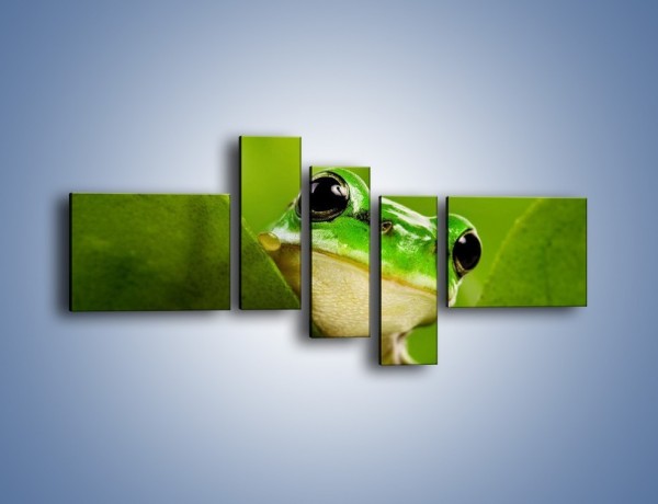 Obraz na płótnie – Zielony świat żabki – pięcioczęściowy Z014W5