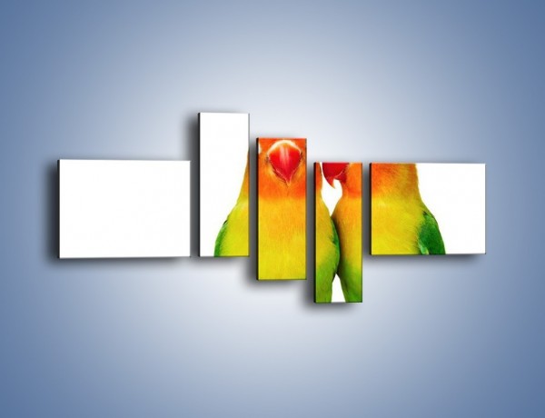 Obraz na płótnie – Sekrety uśmiechniętych papug – pięcioczęściowy Z017W5