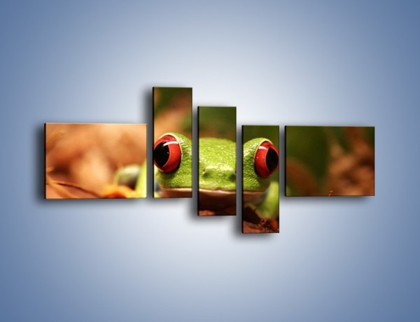 Obraz na płótnie – Bystre oczka małej żabki – pięcioczęściowy Z023W5