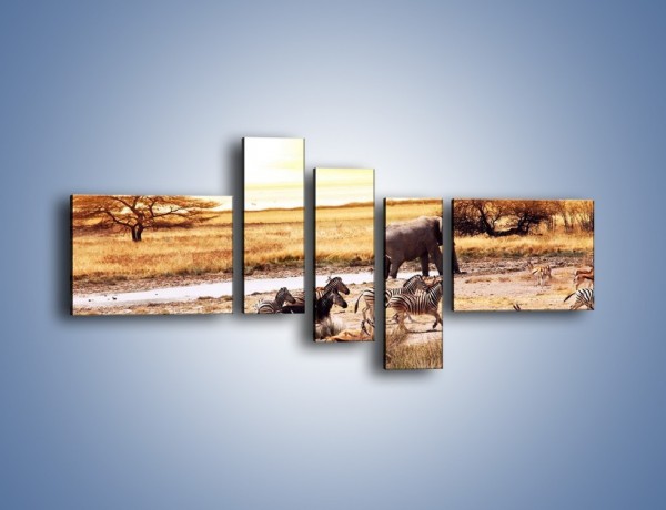 Obraz na płótnie – Zwierzęce stada na sawannie – pięcioczęściowy Z028W5