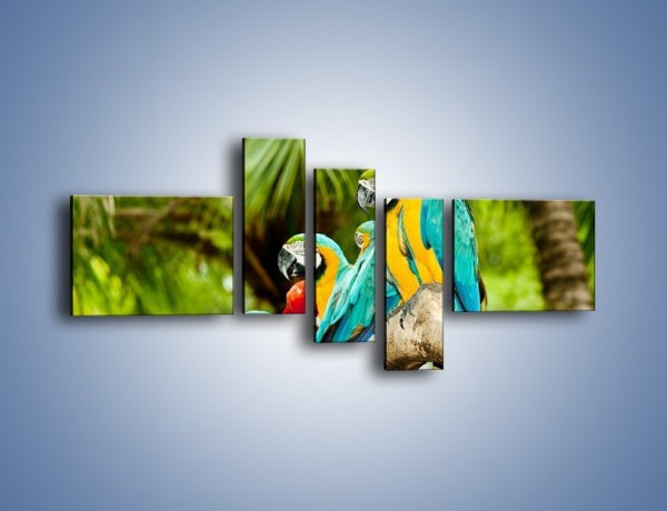 Obraz na płótnie – Kolorowe papugi w szeregu – pięcioczęściowy Z029W5