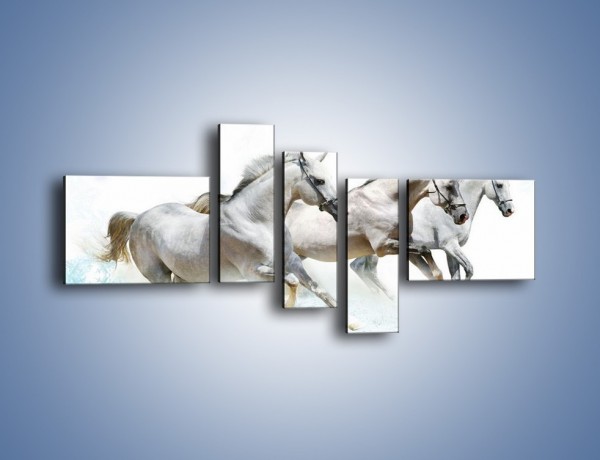 Obraz na płótnie – Końskie trio w zimowym pędzie – pięcioczęściowy Z063W5