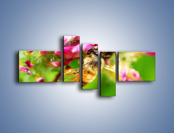 Obraz na płótnie – Pszczoły kochają kwiaty – pięcioczęściowy Z065W5