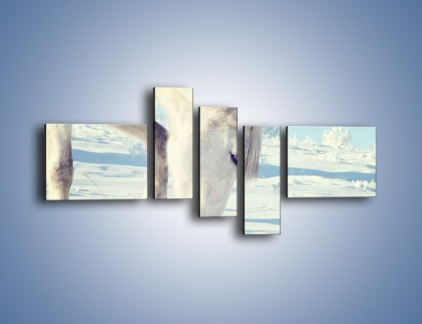 Obraz na płótnie – Arab w śnieżnym puchu – pięcioczęściowy Z144W5