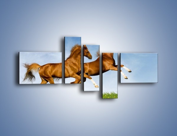 Obraz na płótnie – Skok przez pole z końmi – pięcioczęściowy Z147W5
