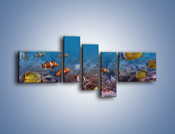 Obraz na płótnie – Ocean i jego kolorowi towarzysze – pięcioczęściowy Z168W5
